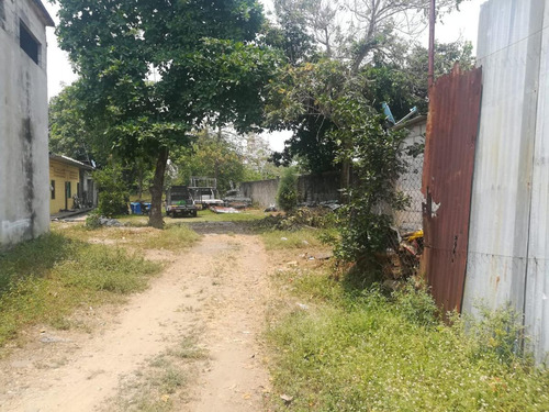 Imagen 5 de 7 de Terreno - La Piragua