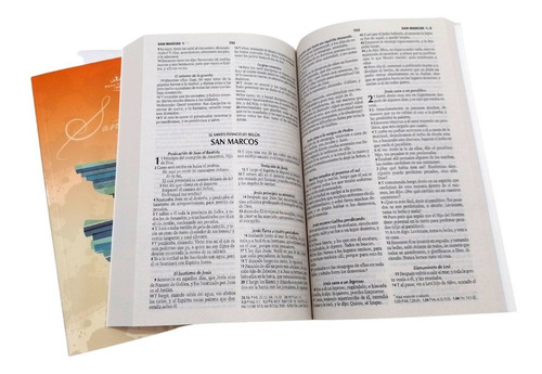Imagen 4 de 8 de Santa Biblia Rvr60 Con Tapa Blanda Rústica