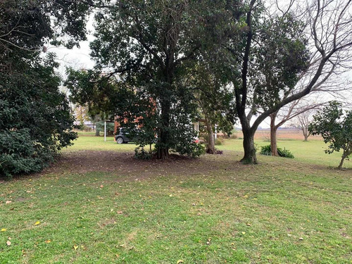 Imagen 16 de 19 de Venta - Hermosa Chacra De 8,7 Hectareas