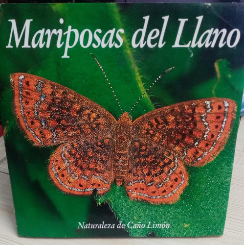 Libro Mariposa Del Llano 