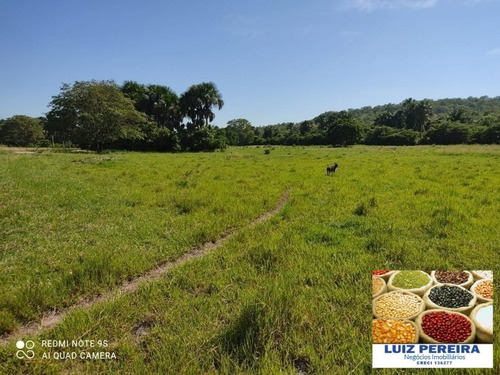 Fazenda À Venda Em Duere - To - De 60 Alqueirões (pecuária) - 1584