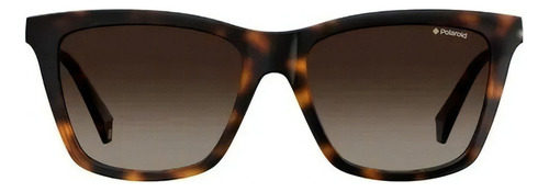 Gafas de sol marrones Polaroid 4081/s
