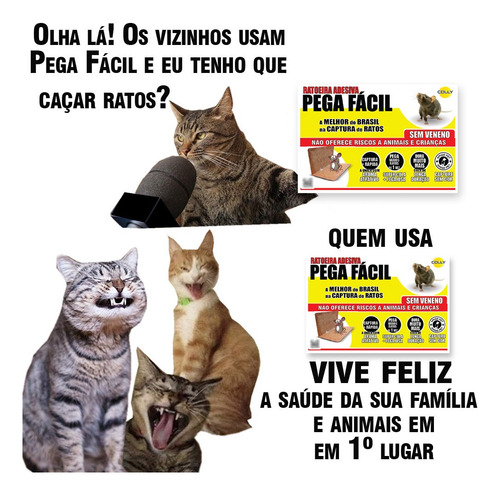 Ratoeira Adesiva De Papel Cola Armadilha Rato Colly 10 Unid