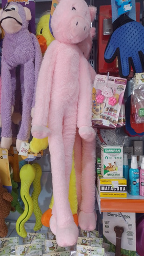 Passo Ponto - Vende-se Petshop Todo Montado