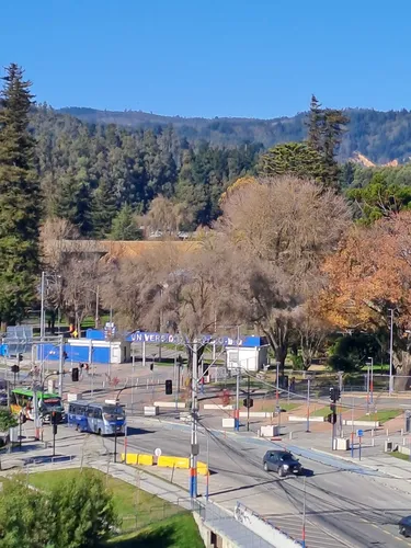 Estilo Mariposa, Nuevo Frente A Ubb, Concep. (99812)