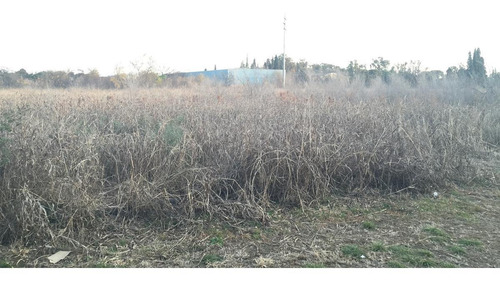 Imagen 9 de 12 de Oportunidad Venta Fracción 2 Hectáreas Villa Esquiu, Córdoba