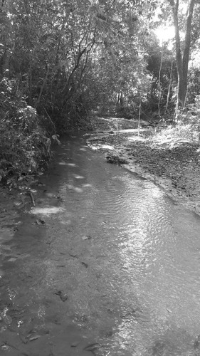 Imagen 4 de 14 de Rancho En El Tuito Jalisco, 21 Ha.
