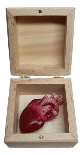 Decoración De Corazón De Órgano Adornos De Corazón Divertido