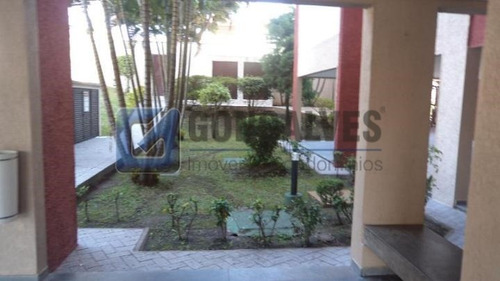 Imagem 7 de 15 de Venda Apartamento Sao Bernardo Do Campo Parque Terra Nova Ii - 1033-1-43315