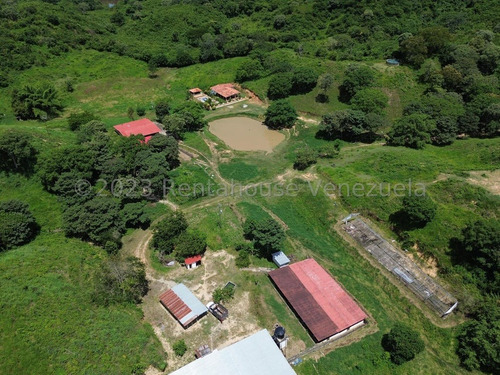 Carlos Colmenarez Vende Finca 28hec (todas Empastadas) Cercas Perimetrales 02 Cochineras; 01 Cochinera Para 150 Madres Y Capacidad De 800 Animales De Engorde 01 Cochinera Con Capacidad De 400 Animale