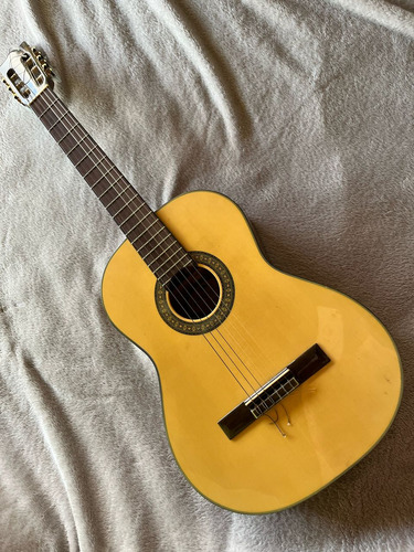 Guitarra Acústica Peavey