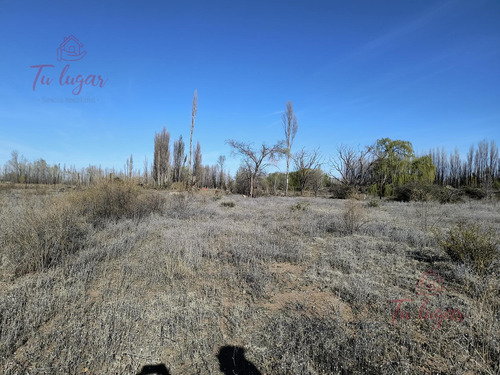 Oportunidad Inversion, Venta Chacra Ubicada En Colonia San Francisco 1,8 Ha