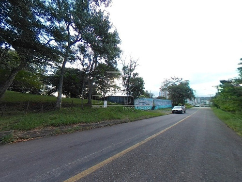 Imagem 4 de 6 de Terreno - Sao Cristovao - Ref: 33088 - V-33085