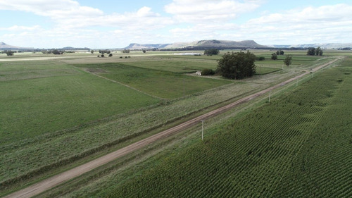 Imagen 20 de 30 de Quinta De 8 Has. A 1.800 Mts Ruta 226 - 100 % Agrícola