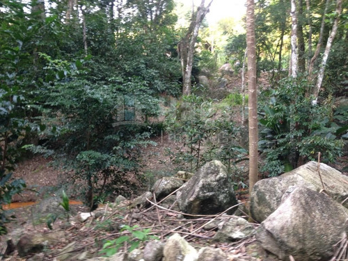 Imagem 5 de 14 de Terreno Para Chácara À Venda Em Canelinha/sc - 1669c