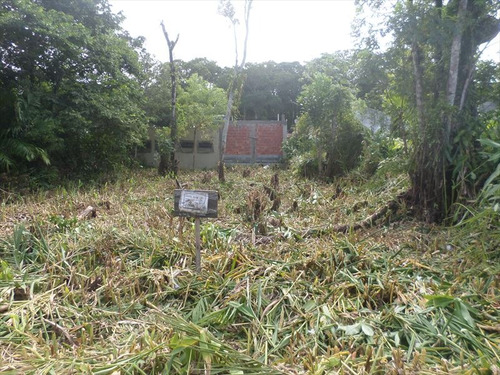 Imagem 1 de 5 de Terreno Em Itanhaem
