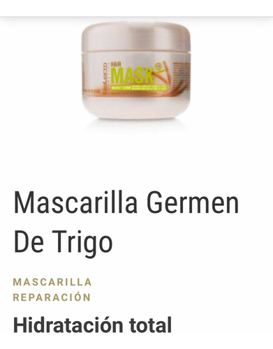 Salerm Mask Germen De Trigo 200ml Mascarilla Reparación
