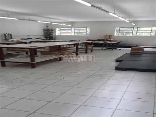 Imagem 14 de 21 de Excelente Comercial Com 550 Mts - 4806