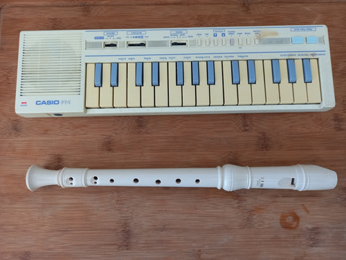 Mini Órgano Casio Pt 1 Vintage + Flauta Dulce Yamaha 