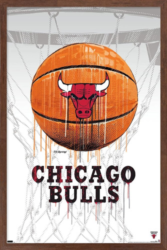 Nba Chicago Bullsdrip Basketball 21 Póster De Pared, 2...
