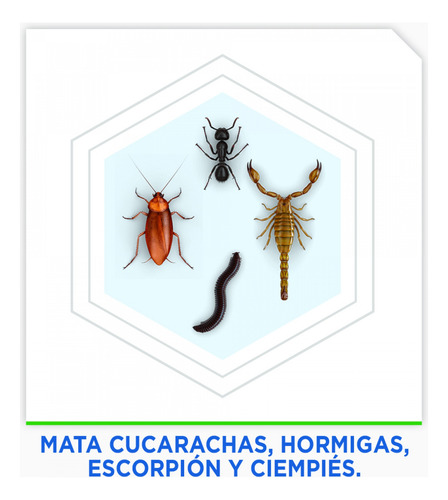 Raid Max® Insecticida En Aerosol Mata Cucarachas E Insectos
