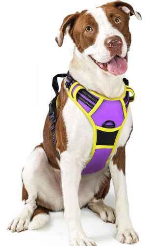 Arnés Para Perros Rabbitgoo No Pull, Ajustable, Talla L