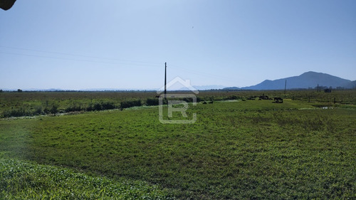 Imagem 1 de 30 de Fazenda Localizada Em Iguape- Sp Com 280 Alqueires - 262 - 71153412
