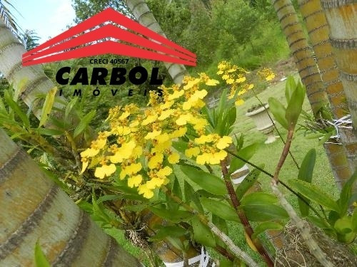 Sítio Pinhal Lazer Cultivo E Empreendimentos - 71036c
