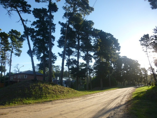 Imagen 1 de 14 de Venta Lote Barrio Álamos Pinamar Zona Norte
