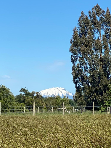 Hermosa Parcela A 15 Min De Frutillar