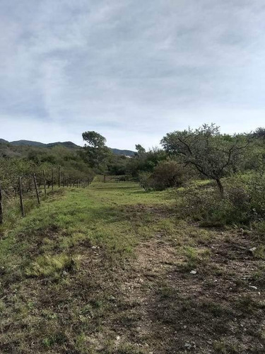 Imagen 8 de 29 de Venta Campo Falda Del Cañete-8,5 Has- Con Vista