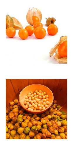 50 Sementes De Physalis Peruviana - Fruta Deliciosa!