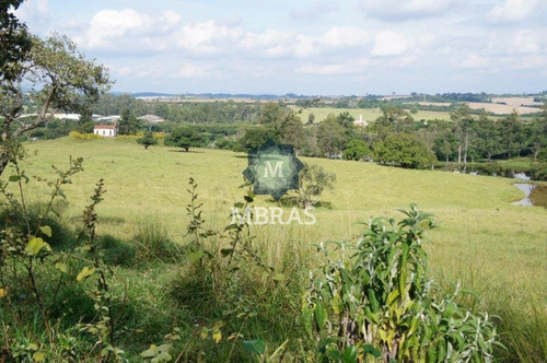 Imagem 7 de 13 de Fazenda - Salto - Mb8804