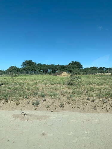Venta Terreno Cardo Ruso S/n- Altos De Kamal- Toay