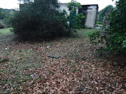 Imagen 3 de 11 de Casa Neptunia Sur A Reciclar A 3 Cuadras Del Arroyo
