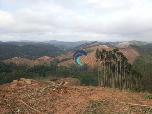 Imagem 10 de 10 de Fazenda Com 1 Dormitório À Venda, 1524600 M² Por R$ 4.840.000,00 - Das Laranjeiras - Paraibuna/sp - Fa0004