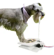 Comprar Perro Al Aire Libre Del Animal Doméstico Bebiendo Sin Proble