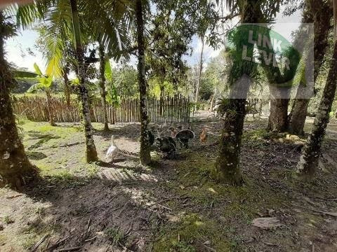 Imagem 12 de 15 de More Ou Invista Em Qualidade De Vida! E Veja O Sol Nascer! - 116