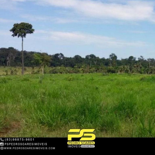 Imagem 3 de 7 de Fazenda Em Rondonia Na Divisa Com Mato Grosso, Por R$ 300.000.00 - 101,0 Hectares - /ro - Fa0278