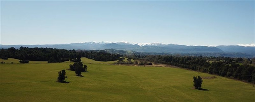 Imagen 15 de 16 de Agrícola En Venta En Río Bueno