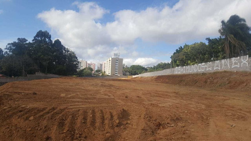 Avenida Ary Rodrigues Locação Venda Terreno Em Campinas