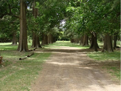 Imagen 3 de 30 de La Alborada Club De Campo - Jeppener - Lote De 1.000 M2