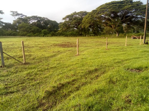 Se Vende Finca En Yaracal