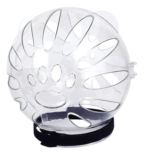 Suministros Para Gatos Domésticos Largo 155mmx145mm