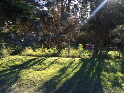 Se Vende Lote Sobre Calle Rivadavia