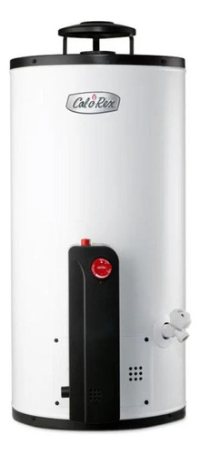 Boiler Calorex Automatico Maximus G10 38 Litros Gas Natural