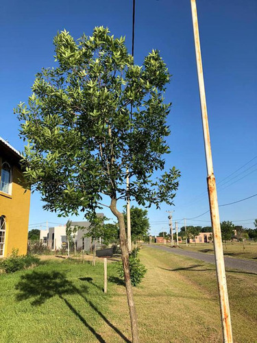 Imagen 12 de 17 de Terreno De 1400 M2 En Pucará Los Búhos, Roldán. Barrio Cerrado