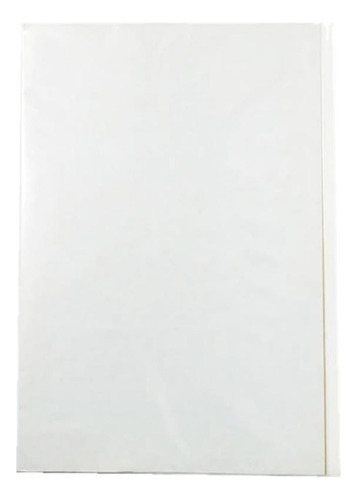 Carpeta Plastificada Blanco X2 Un