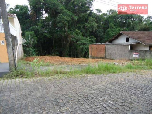Imagem 3 de 6 de Terreno Residencial À Venda, Escola Agrícola, Blumenau - Te0001. - Te0001