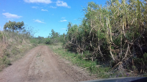 234ha Agric-frutícola-ganad Bellaunión Artigas 3 Casas Riego